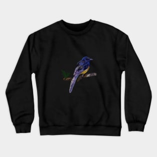 White-rumped Shama Thrush, Bird Crewneck Sweatshirt